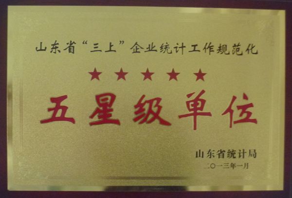 Five-star enterprise